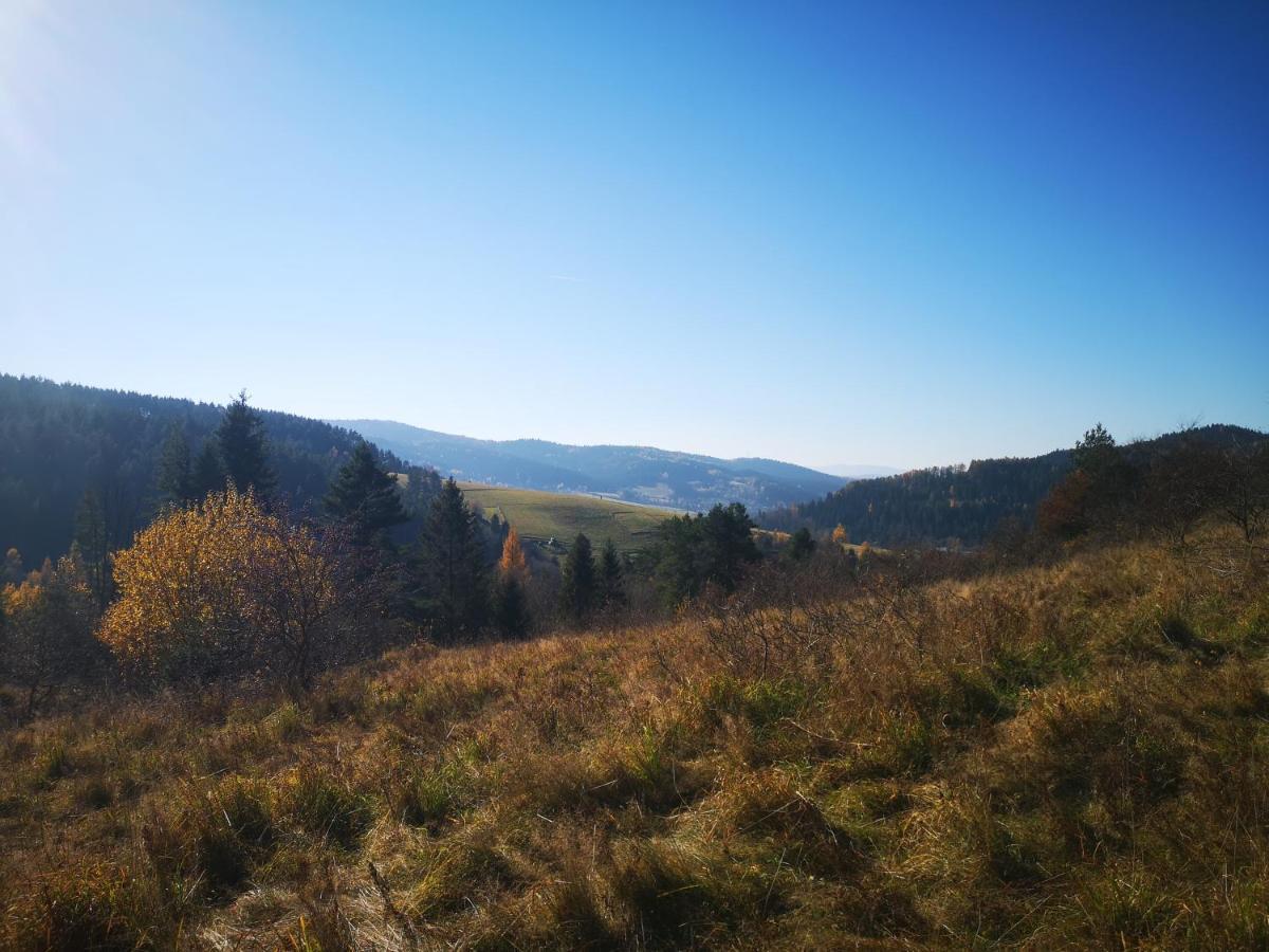 Apartamenty U Janka Krynica Exterior foto